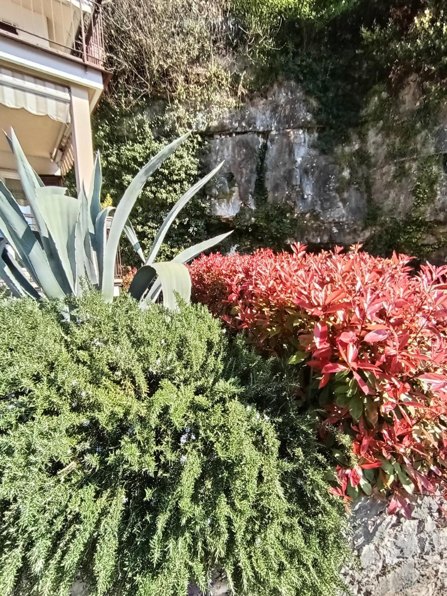Citrus Apartment Brenzone 外观 照片
